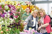 Второй раз Россия будет участвовать в Chelsea Flower Show. // rhs.org.uk