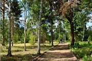 В парке "Ямской лес" проложены тропинки и велосипедные дорожки.
