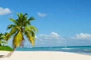 Пляжи Доминиканы ждут российских туристов. // Anna Jedynak, shutterstock 