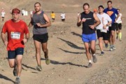 Маршрут марафона пролегает по пустыне. // desertrun.co.il