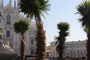 Пальмы на площади Дуомо нравятся не всем. // repubblica.it