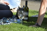 Гости фестиваля смогут устроить пикник с вином. // prague.eu