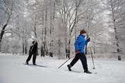 Лыжни из искусственного снега создадут в семи парках столицы.