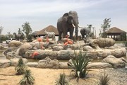 Dubai Safari Park // dubai92.com