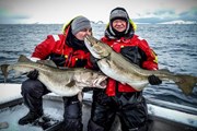 Из Норвегии можно вывезти не более 20 кг рыбы. // sportquestholidays.com