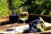 Крымские вина представят туристам на специальных ярмарках. // sevas.com