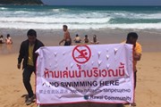 На Пхукете ищут крокодила. // thailand-news.ru