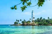 Шри-Ланка ждет туристов из России. // oilprice.com