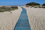 Самые популярные пляжи Сардинии можно посетить только по предварительной брони // Raleff / pixabay.com