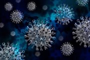 В мире начинается очередная волна коронавируса // geralt / pixabay.com