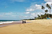 Туристы продолжают ехать на Шри-Ланку, политический кризис их не касается // pasja1000 / pixabay.com