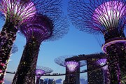 Сингапур отменил пандемийные правила въезда // cegoh / pixabay.com