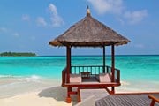 За лучший рассказ наградят путешествием на Мальдивы // sharonang / pixabay.com