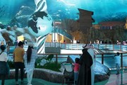 Морской парк с самым большим в мире аквариумом открывается в Абу-Даби // www.seaworldabudhabi.com
