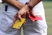 В Таиланде провинившимся туристам выдают "желтые" и "красные" карточки // ThaiTrungKien / pixabay.com