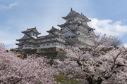 Япония досрочно избавляется от антипандемийных ограничений // Nick115 / pixabay.com