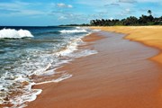 На Шри-Ланке изменились штрафы за просроченные визы // pasja1000 / pixabay.com