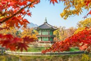 В Южной Корее отменили заполнение формы Q-CODE для въезда // huongnguyen123 / pixabay.com