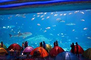 В Китае открылся самый большой крытый морской парк // www.chimelong.com