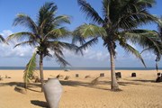 Шри-Ланка начнет выдавать бесплатные визы только с 7 ноября // Авторство: S B from Sydney, Australia. Negombo Beach, Sri LankaUploaded by Ekabhishek, CC BY 2.0, https://commons.wikimedia.org/w/index.php?curid=6911149