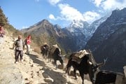 Разрешение на трекинг в Непале можно оформить онлайн // Авторство: Krish Dulal. Собственная работа, CC BY 3.0, https://commons.wikimedia.org/w/index.php?curid=12809403