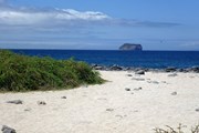 Стоимость въезда на Галапагосские острова увеличилась в 2 раза // Авторство: David Adam Kess. Собственная работа, CC BY-SA 3.0, https://commons.wikimedia.org/w/index.php?curid=23316936