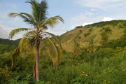 Россиян призвали воздерживаться от поездок в Гаити // Авторство: Wilkah. Собственная работа, CC0, https://commons.wikimedia.org/w/index.php?curid=13303016