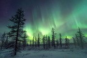 «Ямал» будет летать из Москвы в Новый Уренгой // Авторство: Данил Хусаинов. http://www.newurengoy.ru/uploads/posts/2016-08/thumbs/1471521485_4hd_7136_resize_10-15.jpg, CC BY 4.0, https://commons.wikimedia.org/w/index.php?curid=55257158