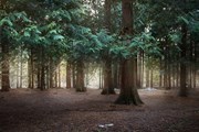 Повышается плата за посещение нацпарка «Куршская коса» // www.park-kosa.ru